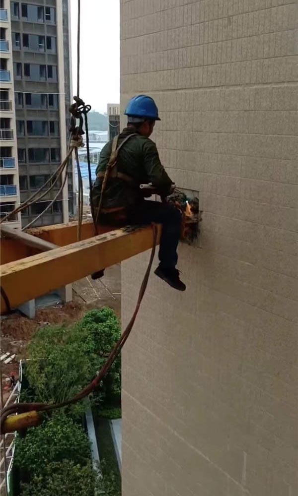 �≦�A(y��)�Ƙ�(g��u)����������Q